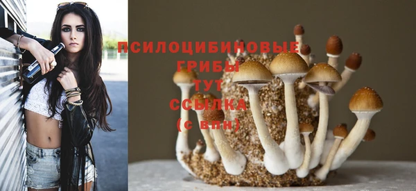 ГАЛЛЮЦИНОГЕННЫЕ ГРИБЫ Ростов