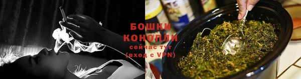 ГАЛЛЮЦИНОГЕННЫЕ ГРИБЫ Ростов