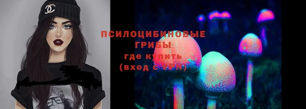 а пвп мука Рославль