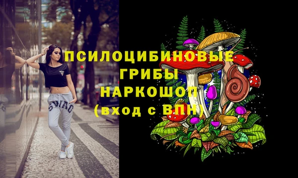 ГАЛЛЮЦИНОГЕННЫЕ ГРИБЫ Ростов