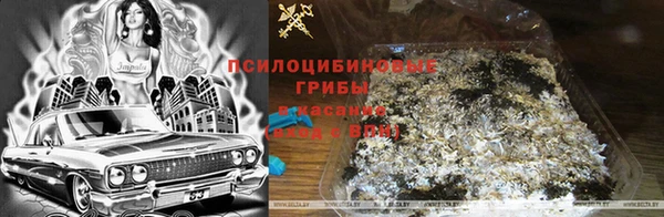ГАЛЛЮЦИНОГЕННЫЕ ГРИБЫ Ростов