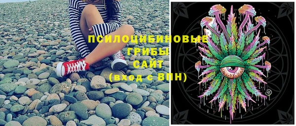 а пвп мука Рославль